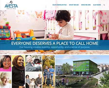 Avesta Website Design